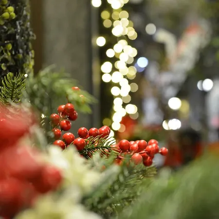 Le Reve - Via Sant'orso,2 Apartment *